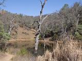 Henry Coe 002